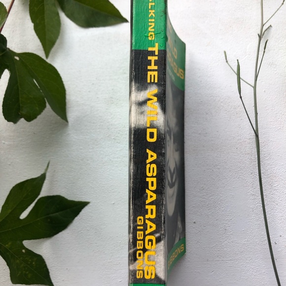 Stalking The Wild Asparagus: Field Guide Edition, by Euell Gibbons, 1970 reprint - Picture 4 of 17